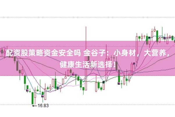 配资股策略资金安全吗 金谷子：小身材，大营养，健康生活新选择！