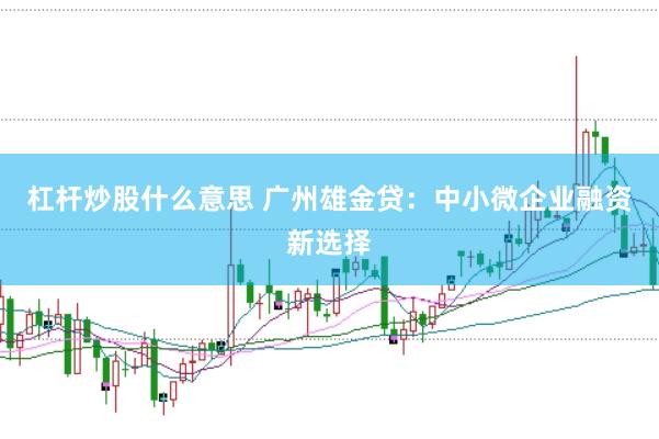 杠杆炒股什么意思 广州雄金贷：中小微企业融资新选择