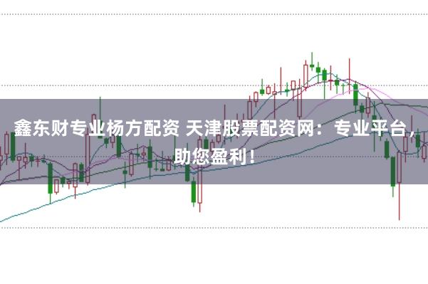 鑫东财专业杨方配资 天津股票配资网：专业平台，助您盈利！