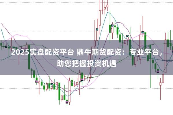 2025实盘配资平台 鼎牛期货配资：专业平台，助您把握投资机遇