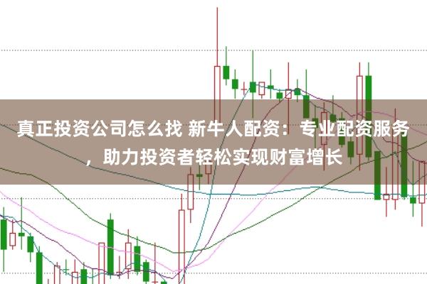 真正投资公司怎么找 新牛人配资：专业配资服务，助力投资者轻松实现财富增长