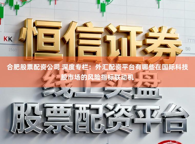 合肥股票配资公司 深度专栏：外汇配资平台有哪些在国际科技股市场的风险指标联动机