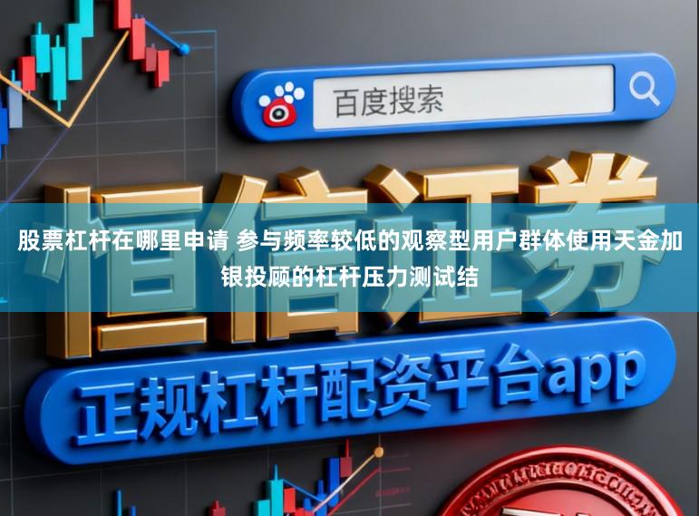 股票杠杆在哪里申请 参与频率较低的观察型用户群体使用天金加银投顾的杠杆压力测试结
