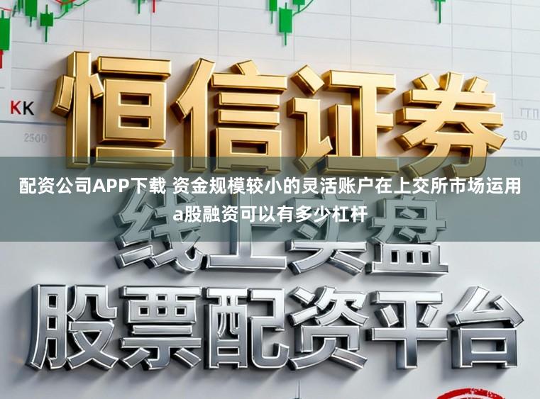配资公司APP下载 资金规模较小的灵活账户在上交所市场运用a股融资可以有多少杠杆